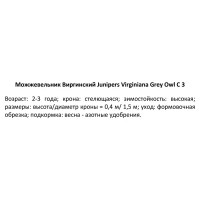 Можжевельник виргинский Грей Оул ø19 h30 см