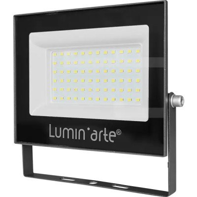 Прожектор светодиодный уличный Lumin\'arte LFL-70W/06 70 Вт 5700 К IP65 холодный белый свет