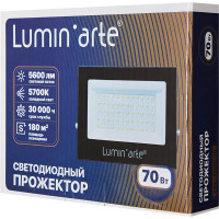 Прожектор светодиодный уличный Lumin\'arte LFL-70W/06 70 Вт 5700 К IP65 холодный белый свет