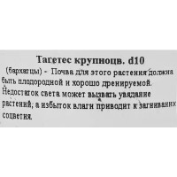 Тагетес крупноцветковый ø10 h20 см
