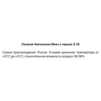 Петуния ампельная микс ø19 h35 см
