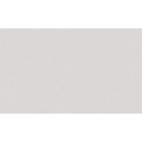Обои флизелиновые Wallsecret Lana серые 1.06 м 9063-05