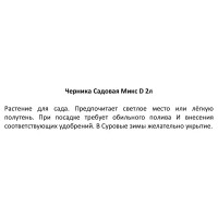 Черника садовая микс ø9 h15 см