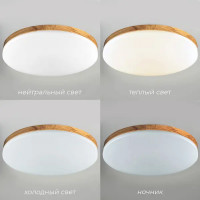 Светильник настенно-потолочный светодиодный Зора 90 Вт с пультом управления 34 м² регулируемый свет цвет белый