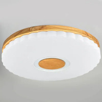 Светильник настенно-потолочный светодиодный Виола 90 Вт с пультом управления 34 м² регулируемый свет цвет белый