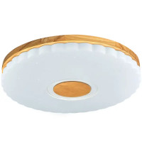 Светильник настенно-потолочный светодиодный Виола 90 Вт с пультом управления 34 м² регулируемый свет цвет белый