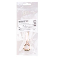 Анкер с кольцом 10x60 мм