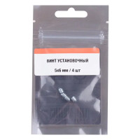 Винт установочный 5x6 мм сталь цвет серебро 4 шт.