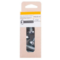 Винт DIN 7985 10x25 мм оцинкованный 6 шт.