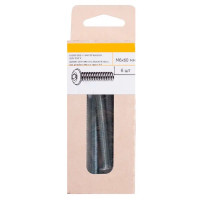 Винт DIN 7380 6x60 мм оцинкованный 6 шт.