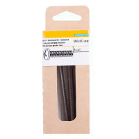 Винт DIN 7985 6x60 мм 4 шт.