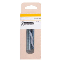 Винт DIN 7380 10x50 мм оцинкованный 2 шт.