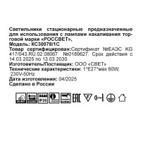 Светильник настенно-потолочный Россвет Кружево цвет белый