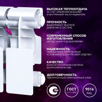 Радиатор секционный Le Heat Bimetal 200/100 12 секций боковое подключение биметалл белый