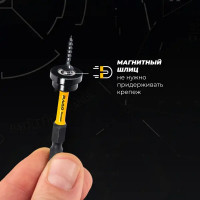 Бита магнитная Rage 554508 PH2x50 мм, 2 шт.